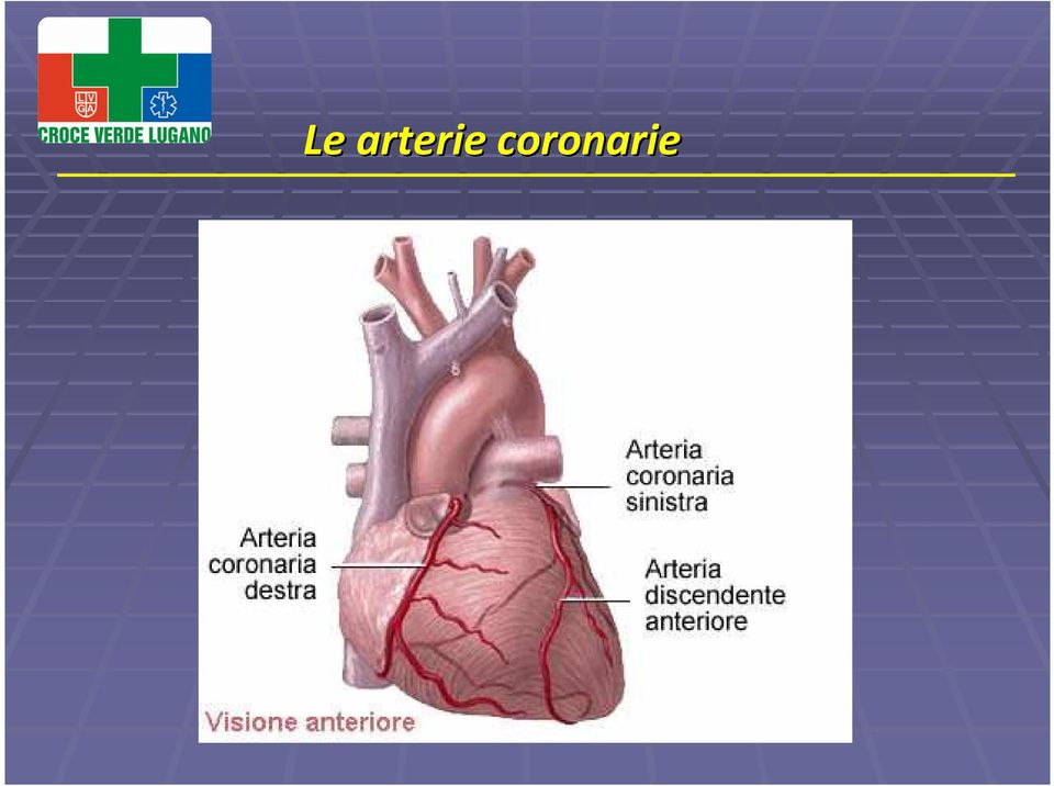 coronarie