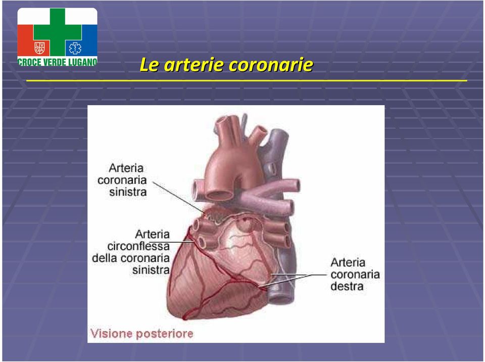 coronarie