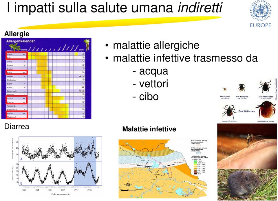 allergiche malattie infettive