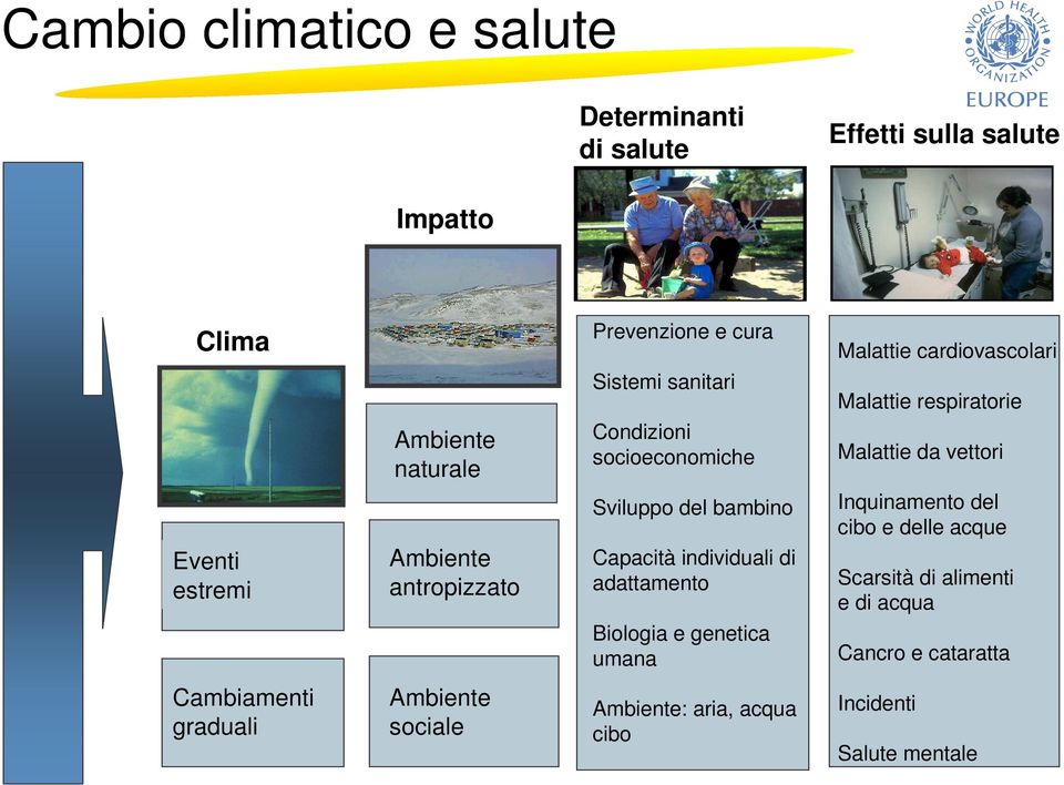 adattamento Biologia e genetica umana Malattie cardiovascolari Malattie respiratorie Malattie da vettori Inquinamento del cibo e