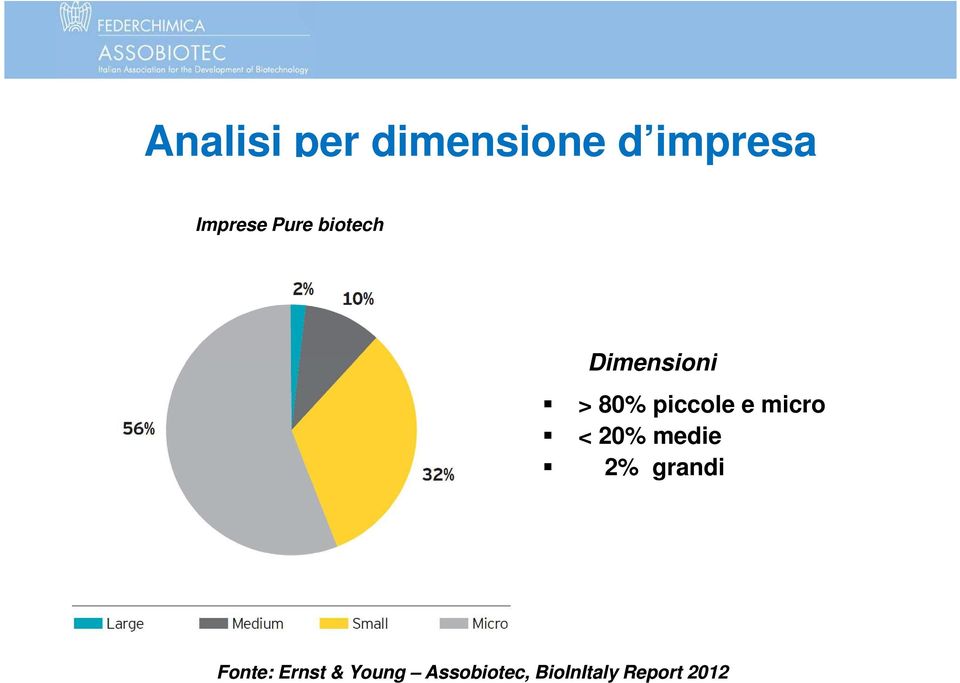 micro < 20% medie 2% grandi Fonte: Ernst