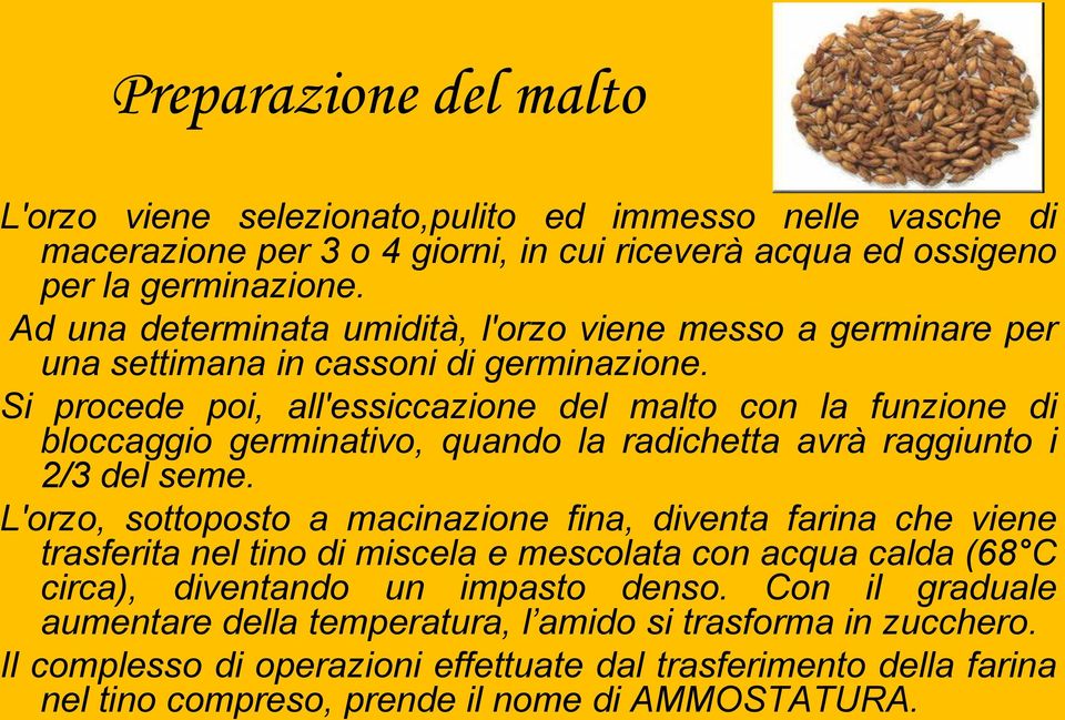 Si procede poi, all'essiccazione del malto con la funzione di bloccaggio germinativo, quando la radichetta avrà raggiunto i 2/3 del seme.