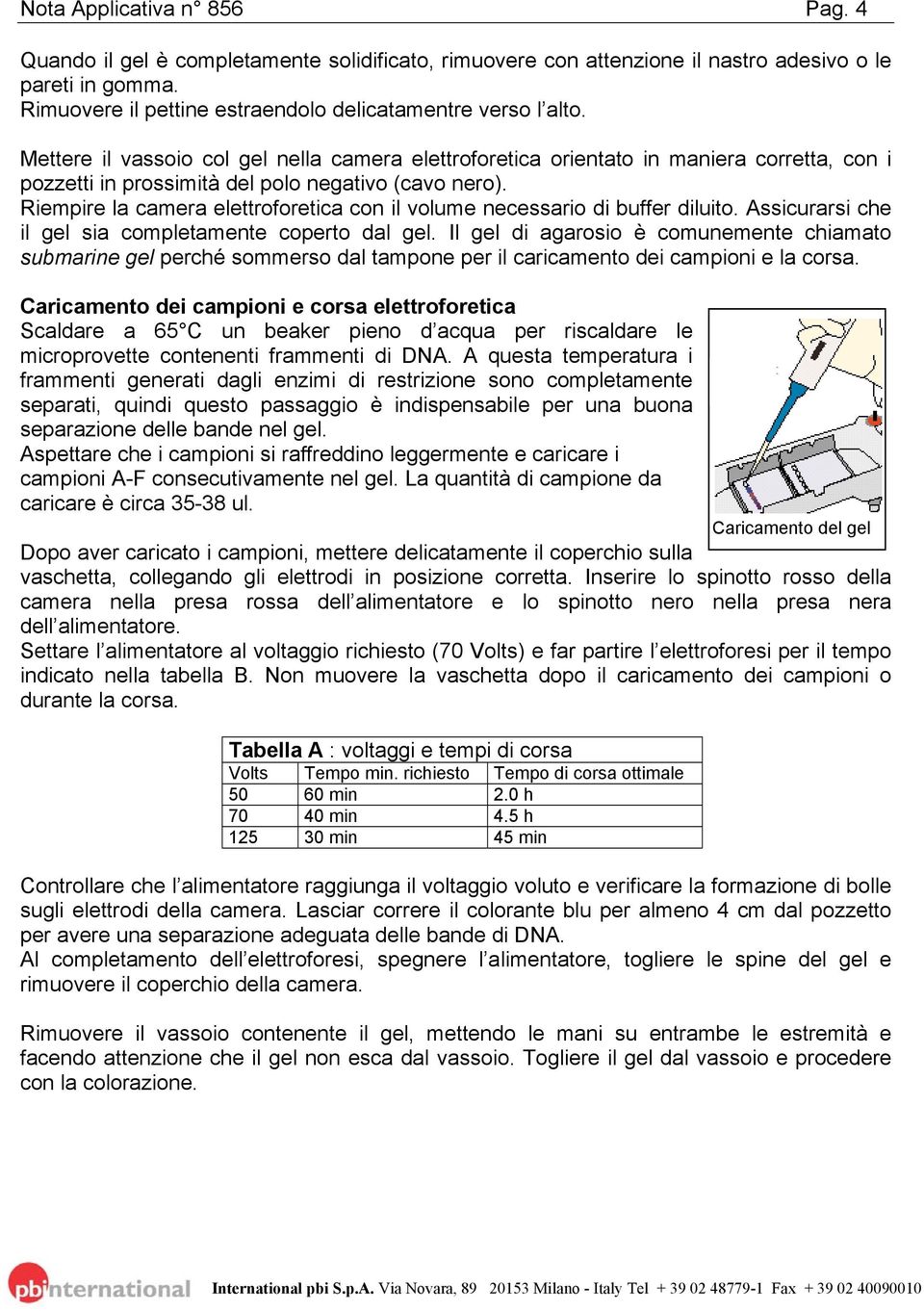 Riempire la camera elettroforetica con il volume necessario di buffer diluito. Assicurarsi che il gel sia completamente coperto dal gel.