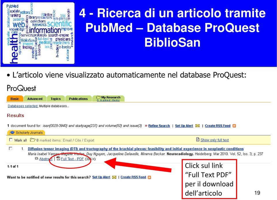 visualizzato automaticamente nel database