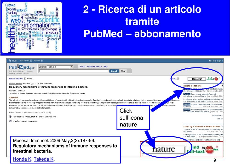 Immunol. 2009 May;2(3):187-96.