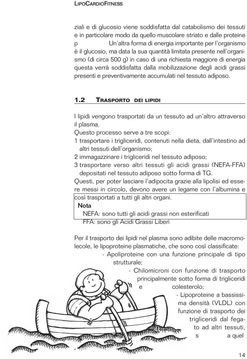 acidi grassi presenti e preventivamente accumulati nel tessuto adiposo. 1.2 TRASPORTO DEI LIPIDI I lipidi vengono trasportati da un tessuto ad un altro attraverso il plasma.