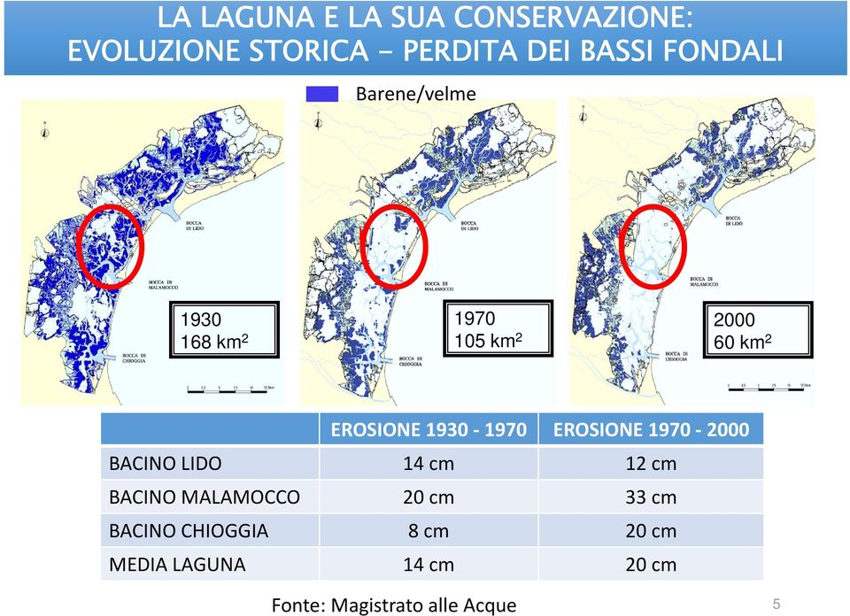 1970 EROSIONE 1970 2000 BACINO LIDO 14 cm 12 cm BACINO MALAMOCCO 20 cm 33 cm