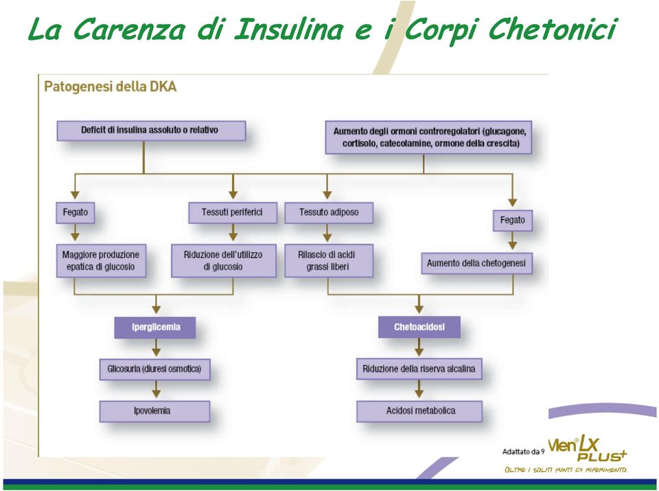 Insulina e