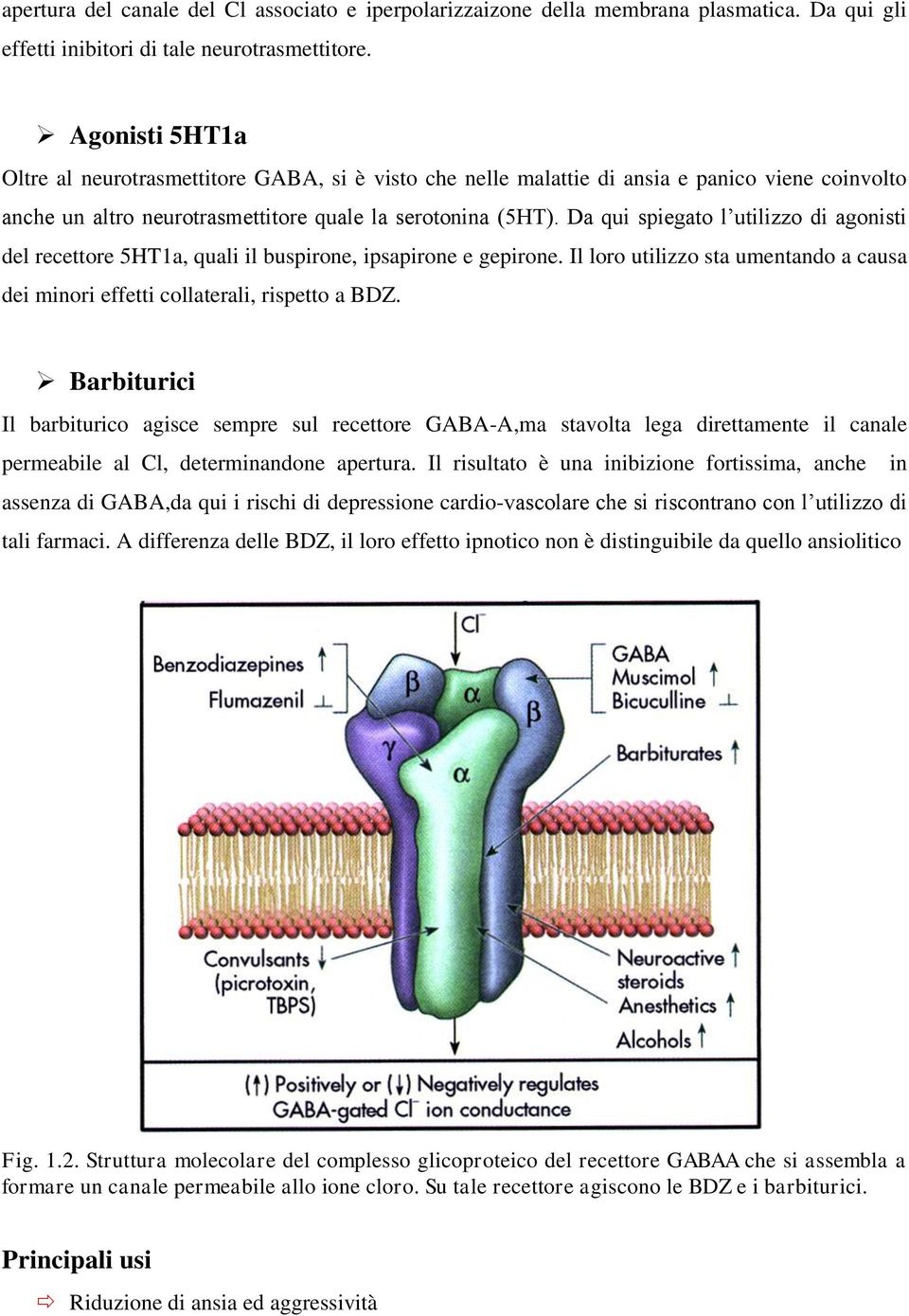 Da qui spiegato l utilizzo di agonisti del recettore 5HT1a, quali il buspirone, ipsapirone e gepirone. Il loro utilizzo sta umentando a causa dei minori effetti collaterali, rispetto a BDZ.