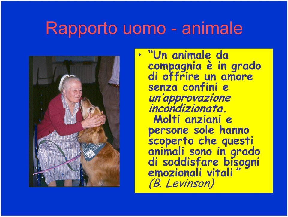 Molti anziani e persone sole hanno scoperto che questi animali