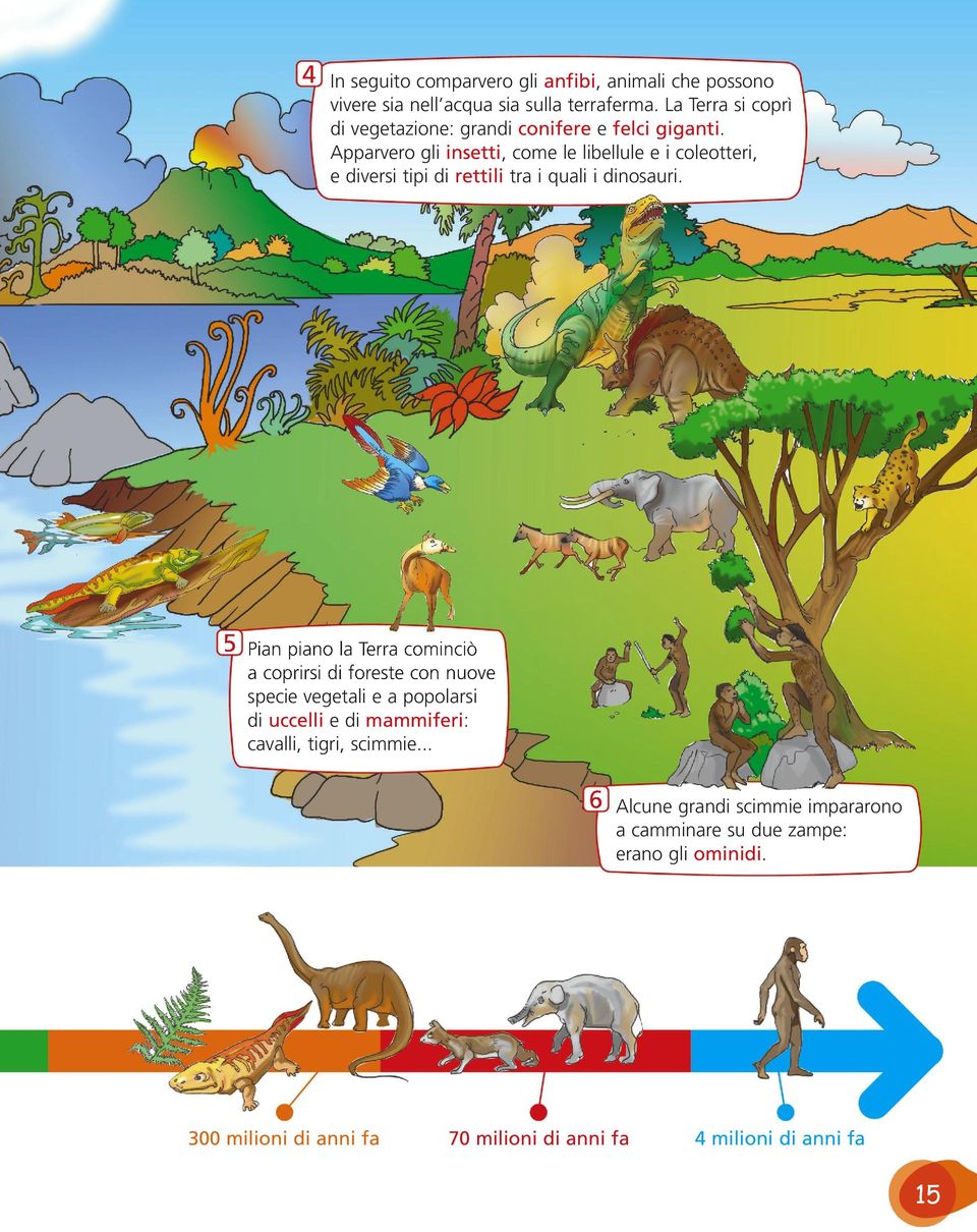 Apparvero gli insetti, come le libellule e i coleotteri, e diversi tipi di rettili tra i quali i dinosauri.