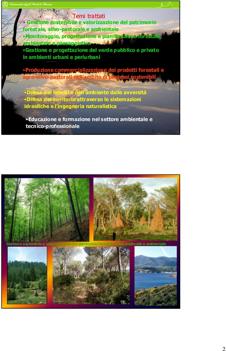 agro-silvo-pastorali nell ambito di processi sostenibili Difesa dei boschi e dell ambiente dalle avversità Difesa del territorio attraverso le sistemazioni idrauliche e l