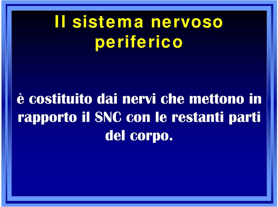 nervi che mettono in