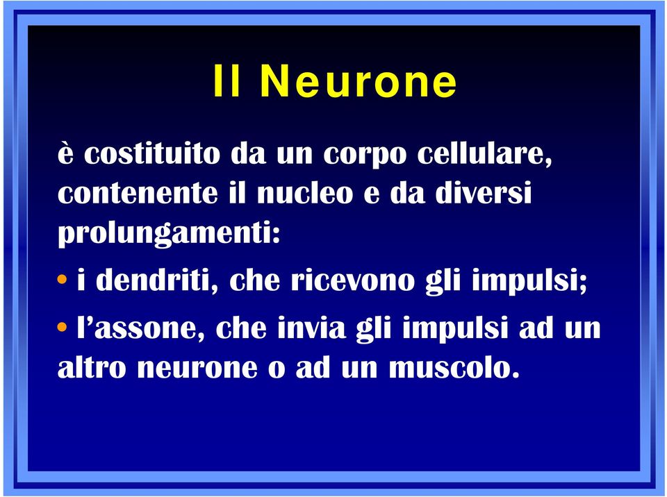 dendriti, che ricevono gli impulsi; l assone, che