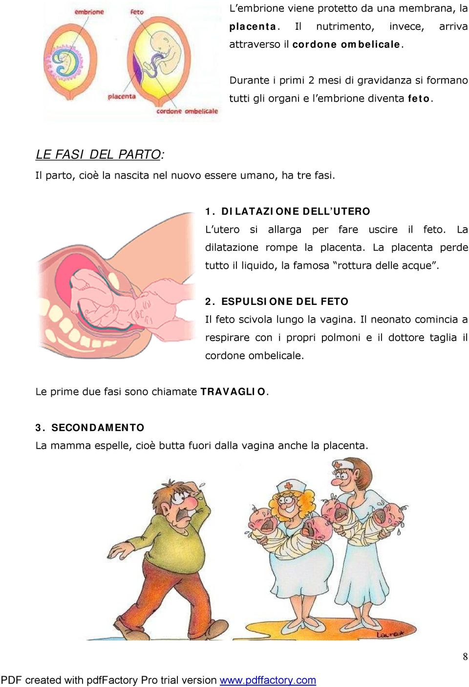 DILATAZIONE DELL UTERO L utero si allarga per fare uscire il feto. La dilatazione rompe la placenta. La placenta perde tutto il liquido, la famosa rottura delle acque. 2.