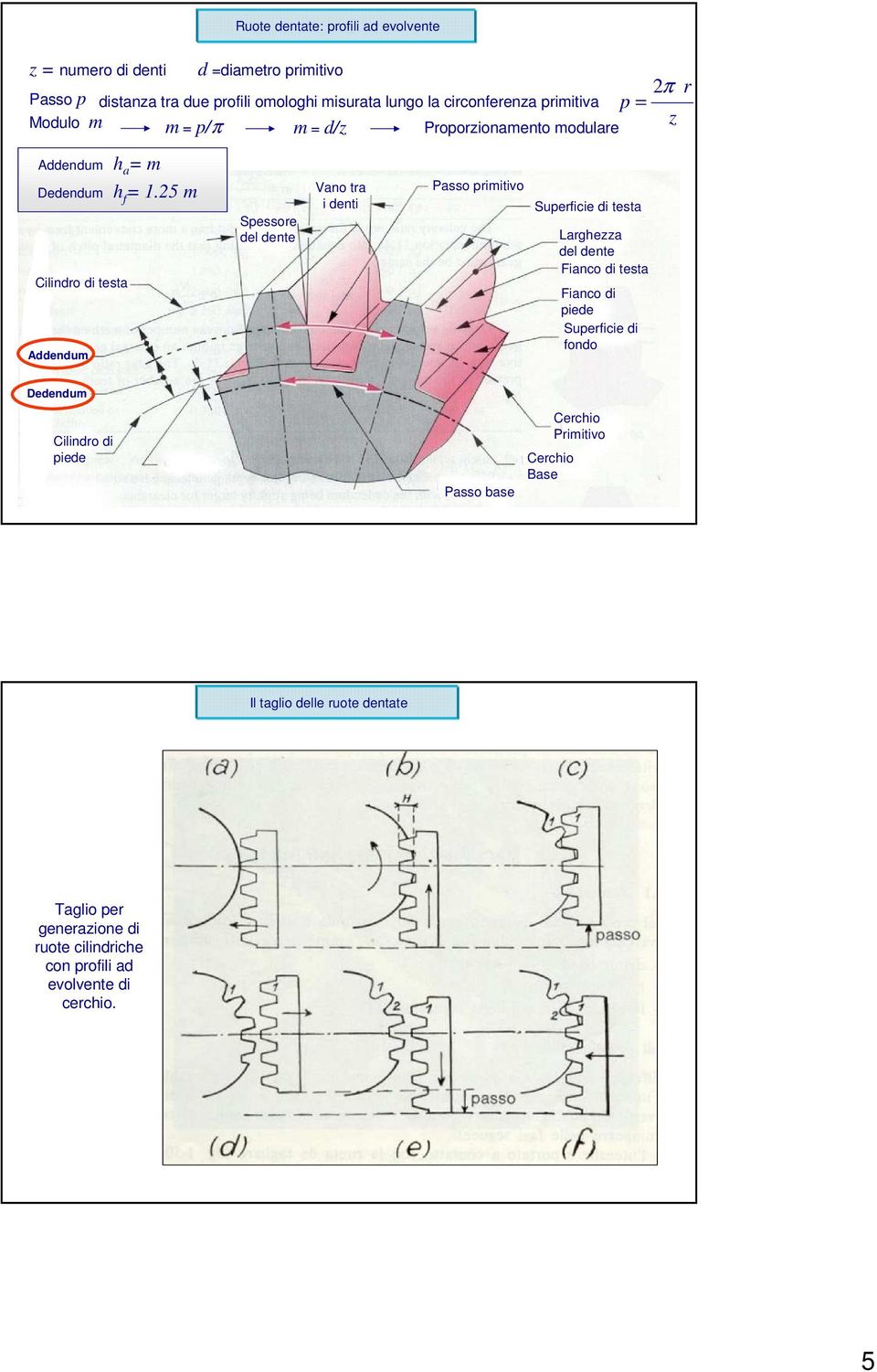 5 m Cilindo di testa Addendum d =diameto pimitivo Spessoe del dente Vano ta i denti Passo pimitivo Supeficie di testa Laghezza del dente Fianco