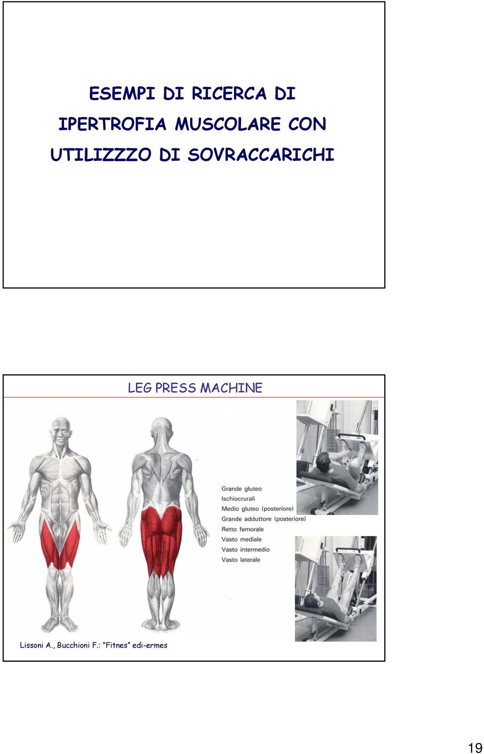 SOVRACCARICHI LEG PRESS MACHINE