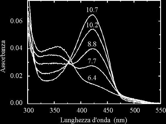 Le proprietà d assorbimento e quindi la distribuzione elettronica dei cromofori può variare in base: - allo stato di ionizzazione - alla polarità del solvente - al diverso stato di ossido-riduzione -