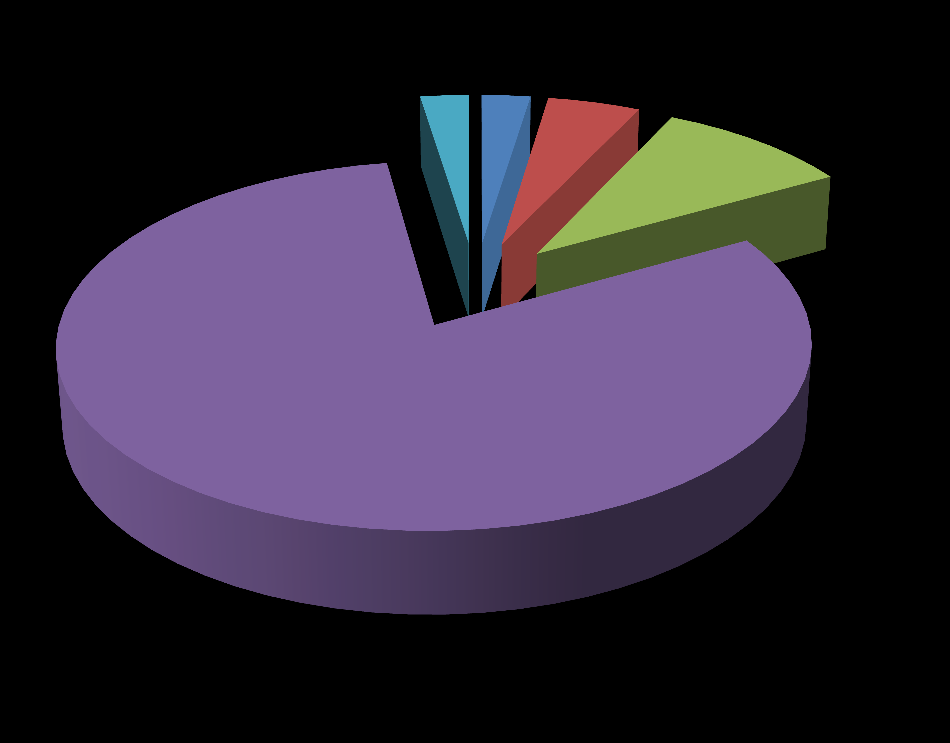 Tipologie di appartamento 2% 2% 5% 10% 81%