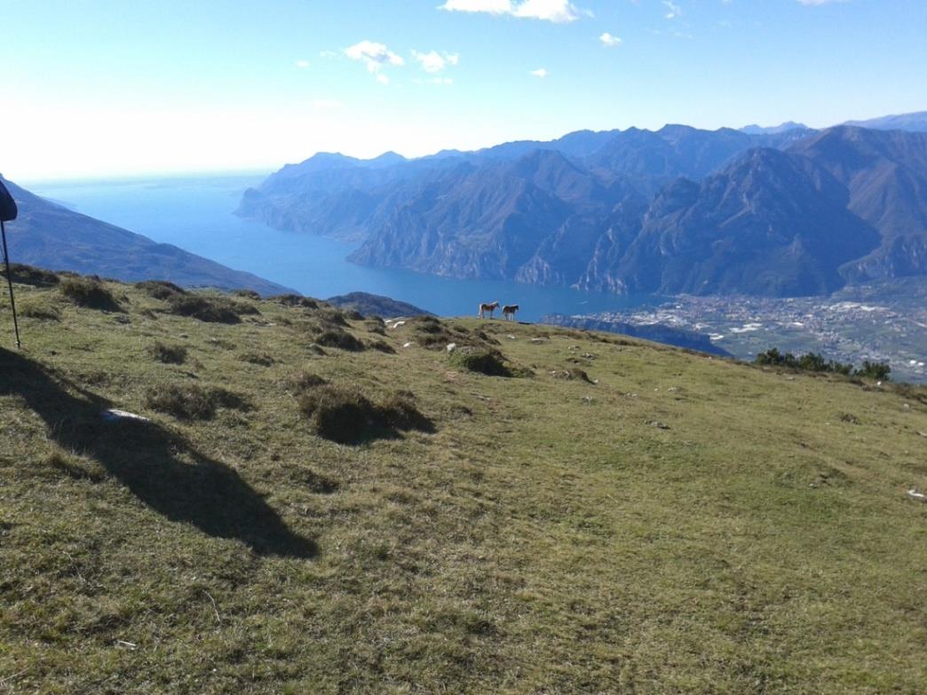Escursioni sulle Prealpi Il Lago di Garda dal Monte Stivo -