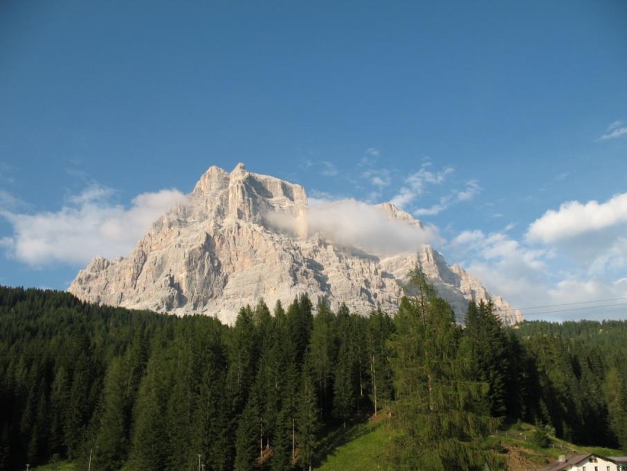 In estate, escursioni in pullman in Dolomiti, Alto Adige e Cadore Il Gruppo del Brenta da Malga Campo (Pinzolo) - giugno Il Pelmo