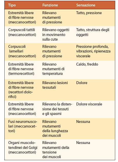 Recettori sensoriali