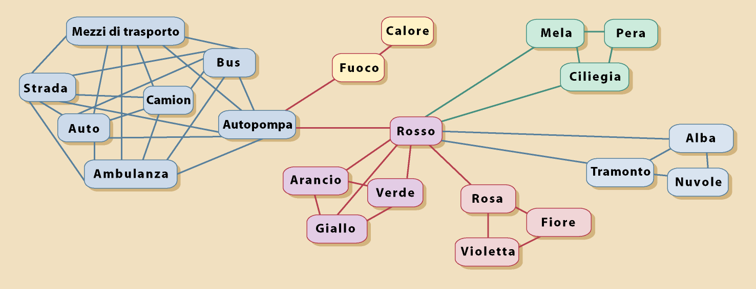 Organizzazione delle conoscenze La memoria semantica costituisce il repertorio di concetti posseduti da ciascuna persona. E la base di conoscenze che ci permette di agire in modo funzionale nel mondo.