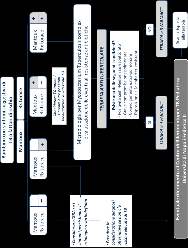Figura 3: Algoritmo per bambini sintomatici con sospetta malattia tubercolare NB.