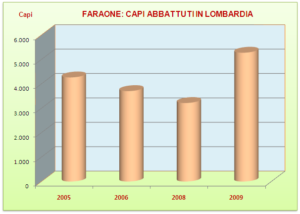 IL MERCATO DELLE CARNI: