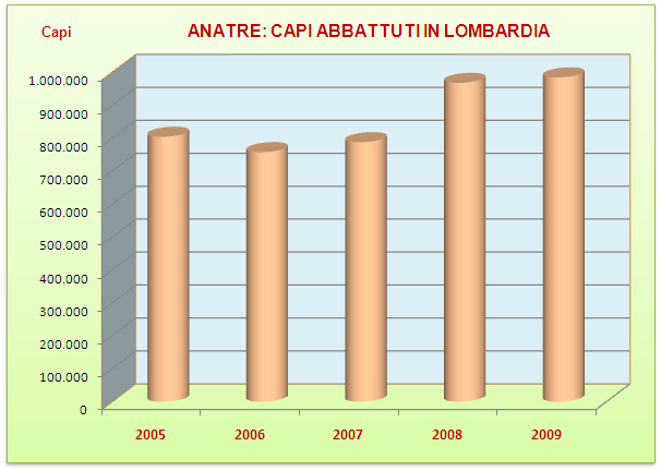 IL MERCATO DELLE CARNI: