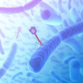 monocytogenes Trattamenti post-letali riduzione di 2 Log ( o almeno 1) Lattati, acetati, di-acetati, ozono e Batteriofagi Agenti e