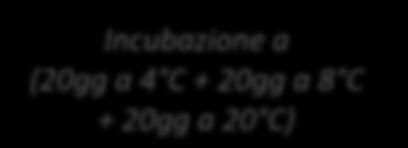 Log ufc/g Log ufc/g Temperatura C Prova 2 Inoculo L.