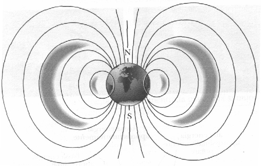 Introduzione Le bussole topografiche del tipo a prisma sono degli strumenti molto precisi; sono in materiale amagnetico e sono formate essenzialmente di un disco girevole graduato, con ago magnetico