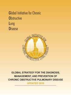 UPDATED 2013 2013 Global Initiative for Chronic Obstructive Lung Disease Global