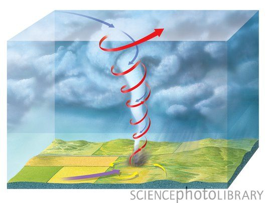 Questi vortici, in determinate situazioni, danno origine al tornado.