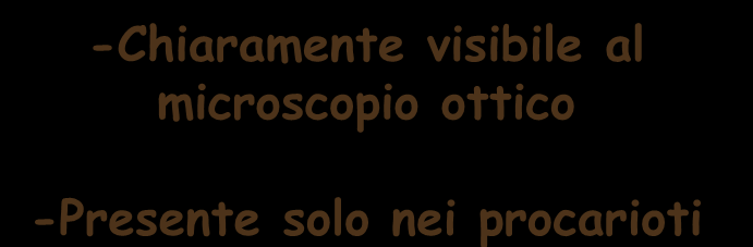 amido PHB glicogeno sono riserve di carbonio