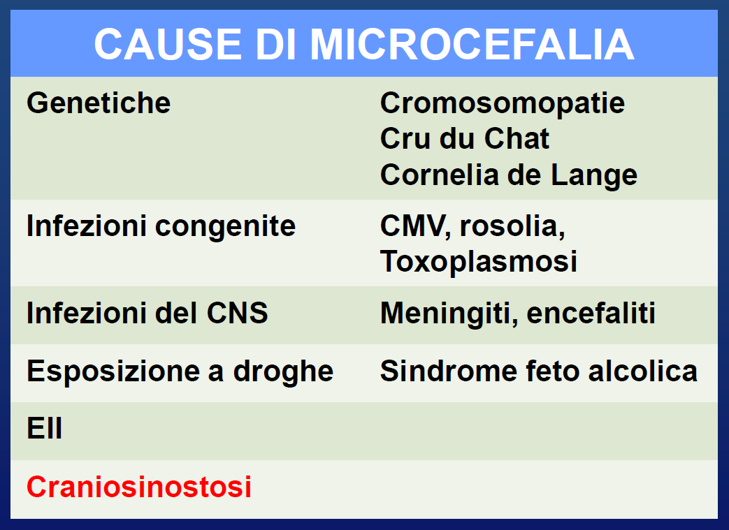 MICROCRANIA La maggior