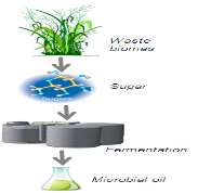 Main Renewables and Environmental R&D projects Solar Energy - PV windows Semitransparent solar energy concentrators, with low silicon consumption and suited for residential building integration