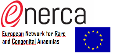 ENERCA : A highway to the future PILOT EUROPEAN REFERENCE