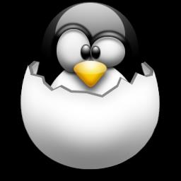 funzionamento Kernel Costituisce il nucleo dei sistemi operativi della famiglia di Linux. È il programma principale di ogni computer.