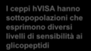 VSSA Sensibile hvisa Eteroresistente I ceppi hvisa hanno sottopopolazioni che esprimono