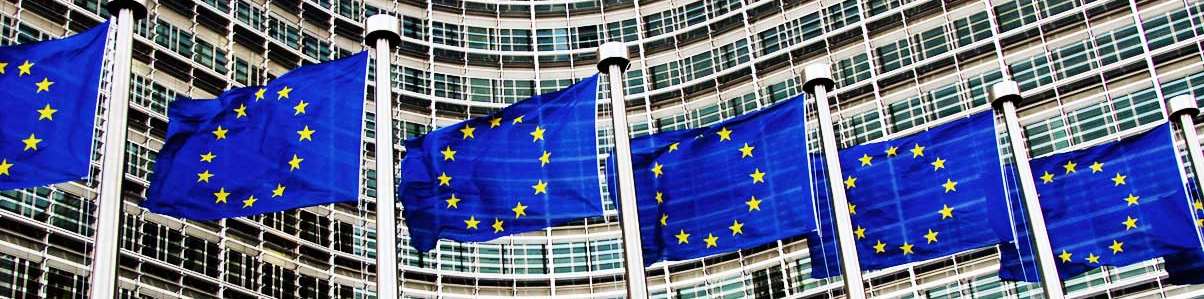 Legislazione Europea I biostimolanti non sono previsti nell attuale normativa europea Ogni Paese ha