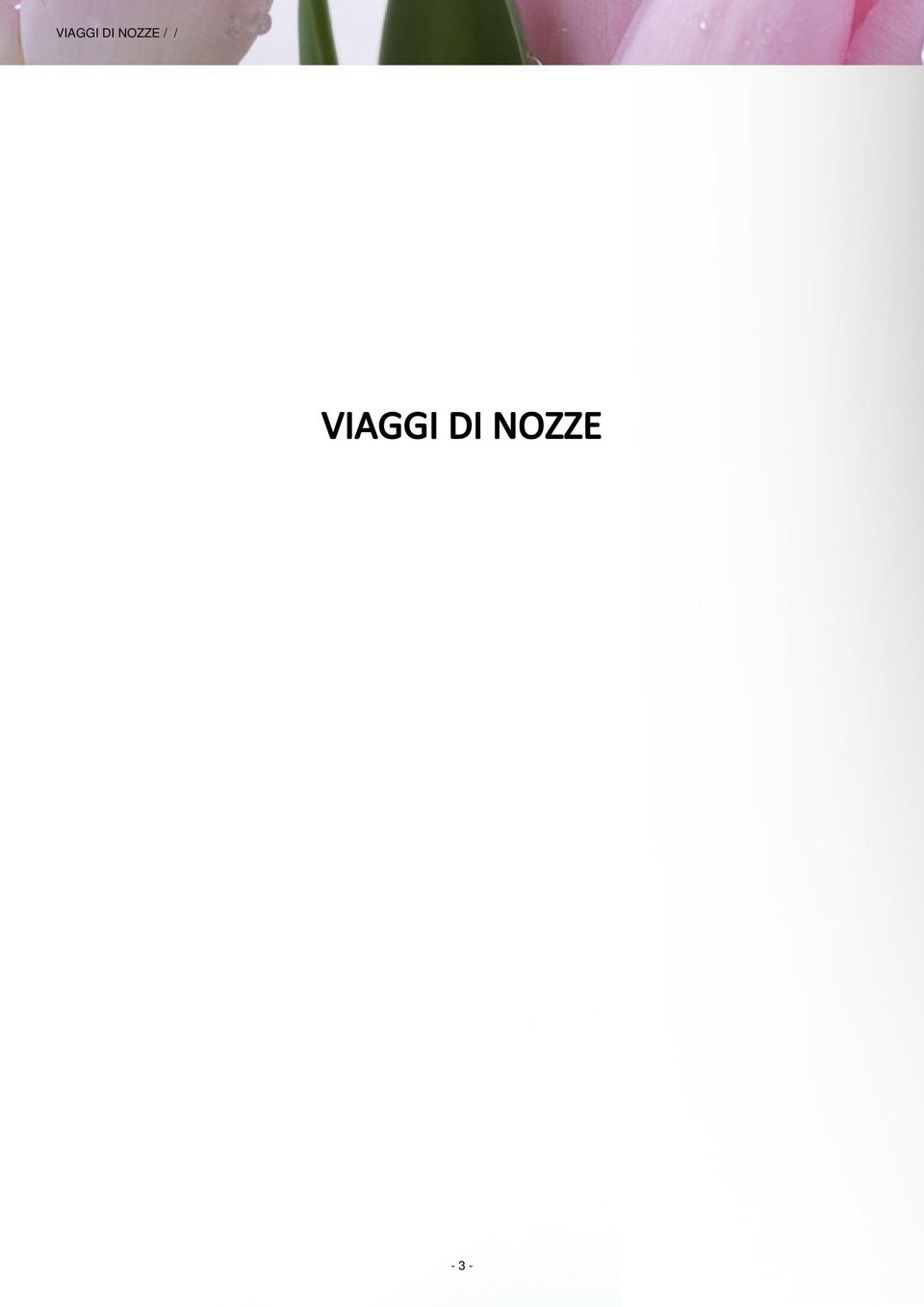 NOZZE - 3