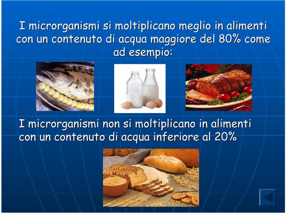 esempio: I microrganismi non si moltiplicano in