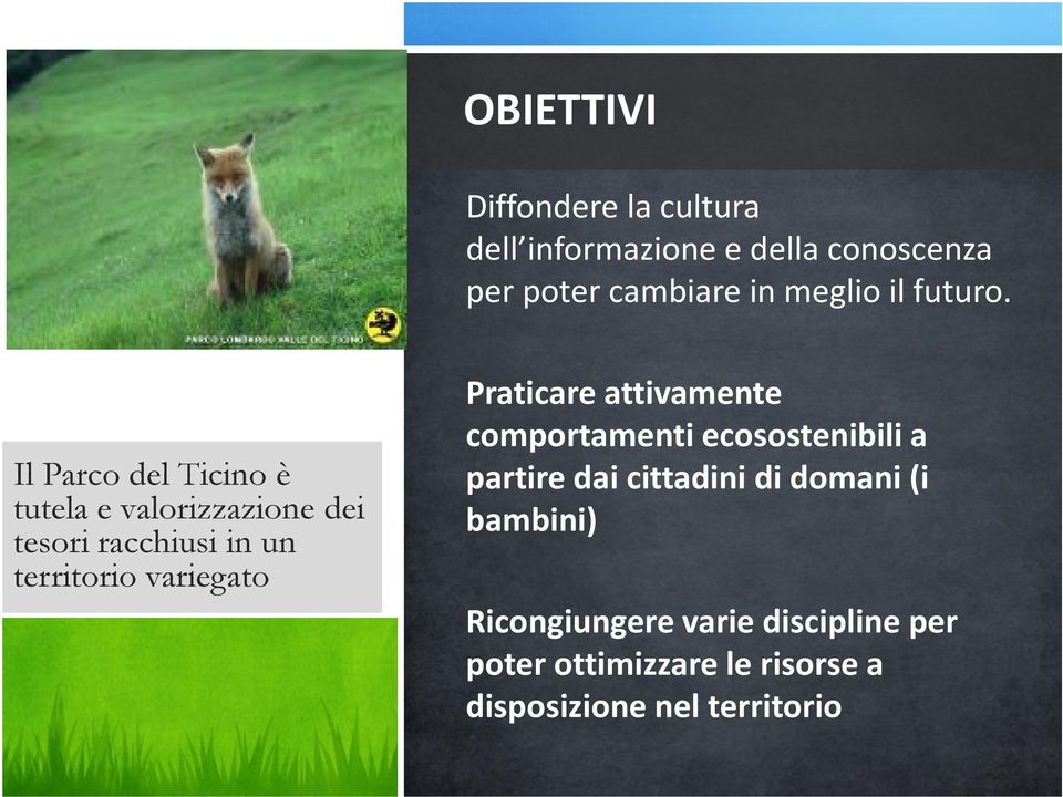 Il Parco del Ticino è tutela e valorizzazione dei tesori racchiusi in un territorio variegato