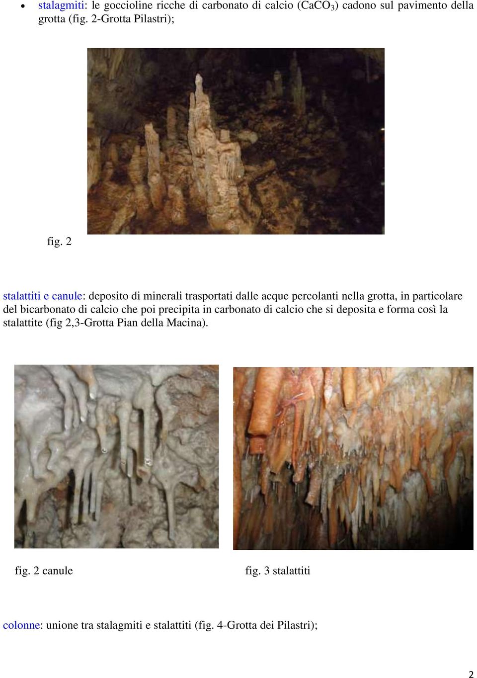 2 stalattiti e canule: deposito di minerali trasportati dalle acque percolanti nella grotta, in particolare del