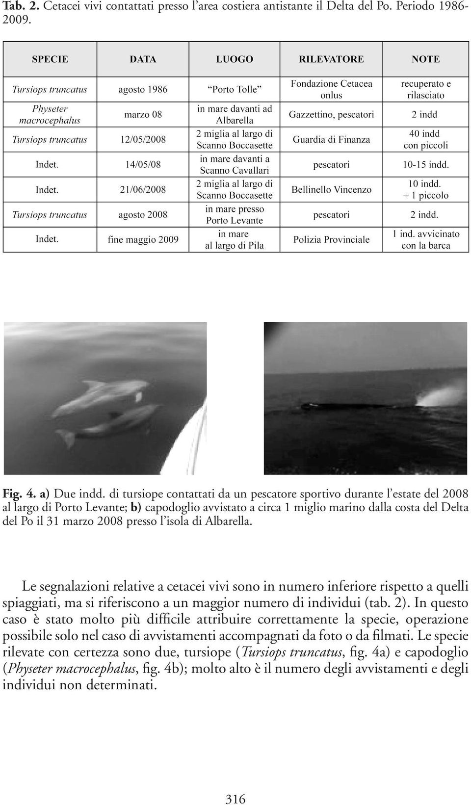 presso l isola di Albarella. Le segnalazioni relative a cetacei vivi sono in numero inferiore rispetto a quelli spiaggiati, ma si riferiscono a un maggior numero di individui (tab. 2).