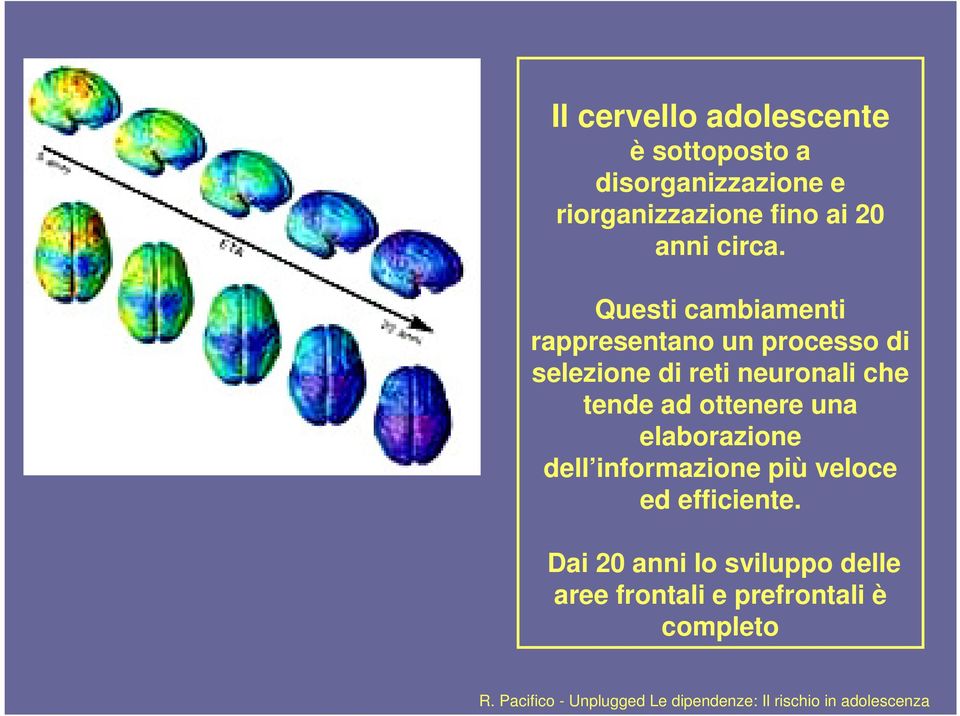 una elaborazione dell informazione più veloce ed efficiente.