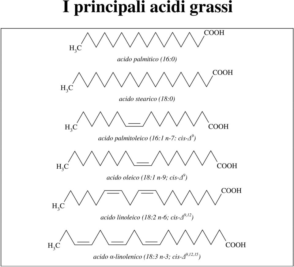C H 3 H 3 C acido oleico (18:1 n-9; cis- 9 ) acido linoleico (18:2 n-6;
