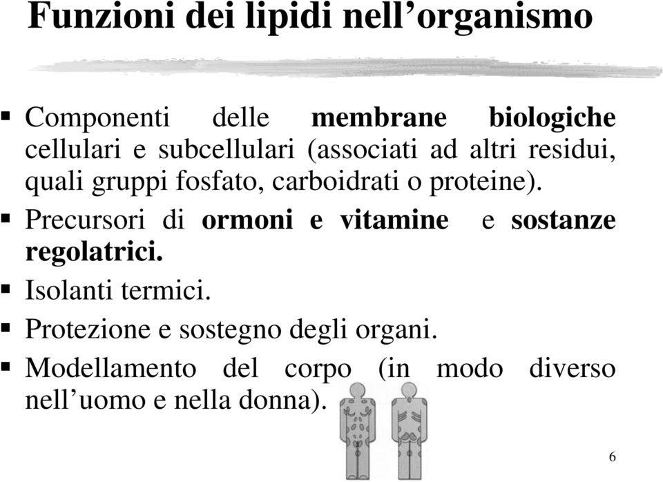 Precursori di ormoni e vitamine e sostanze regolatrici. Isolanti termici.